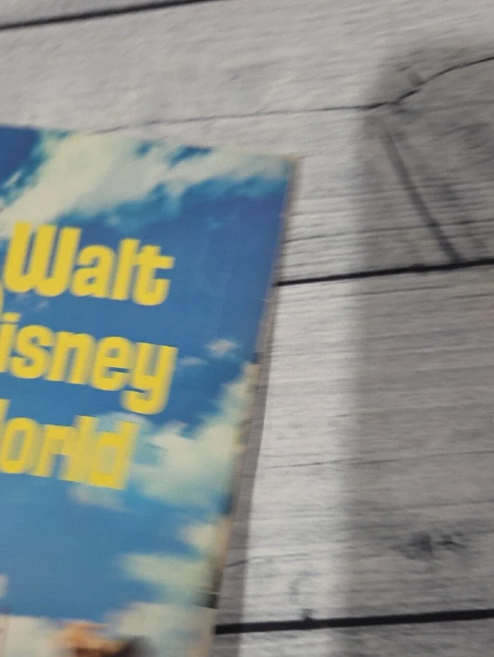 Disney Walt Disney World Pictorial Souvenir Book Paperback